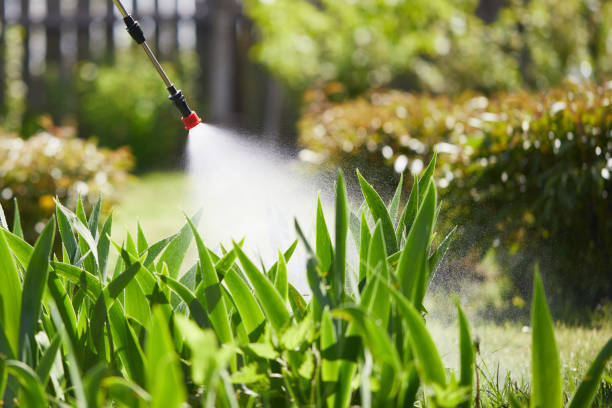 Tamper-Resistant Bait Stations for Rodents in London